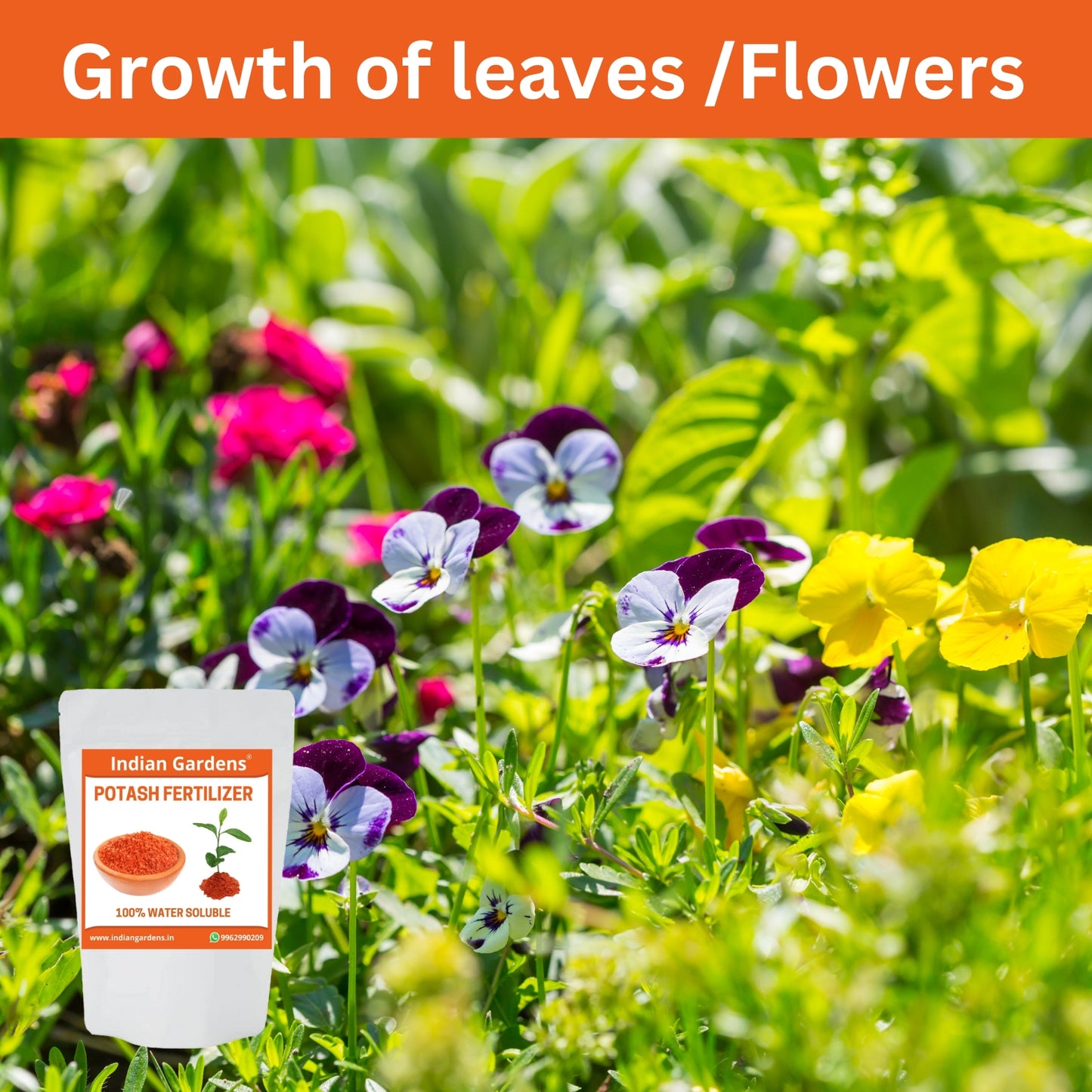 Potash meal fertilizers