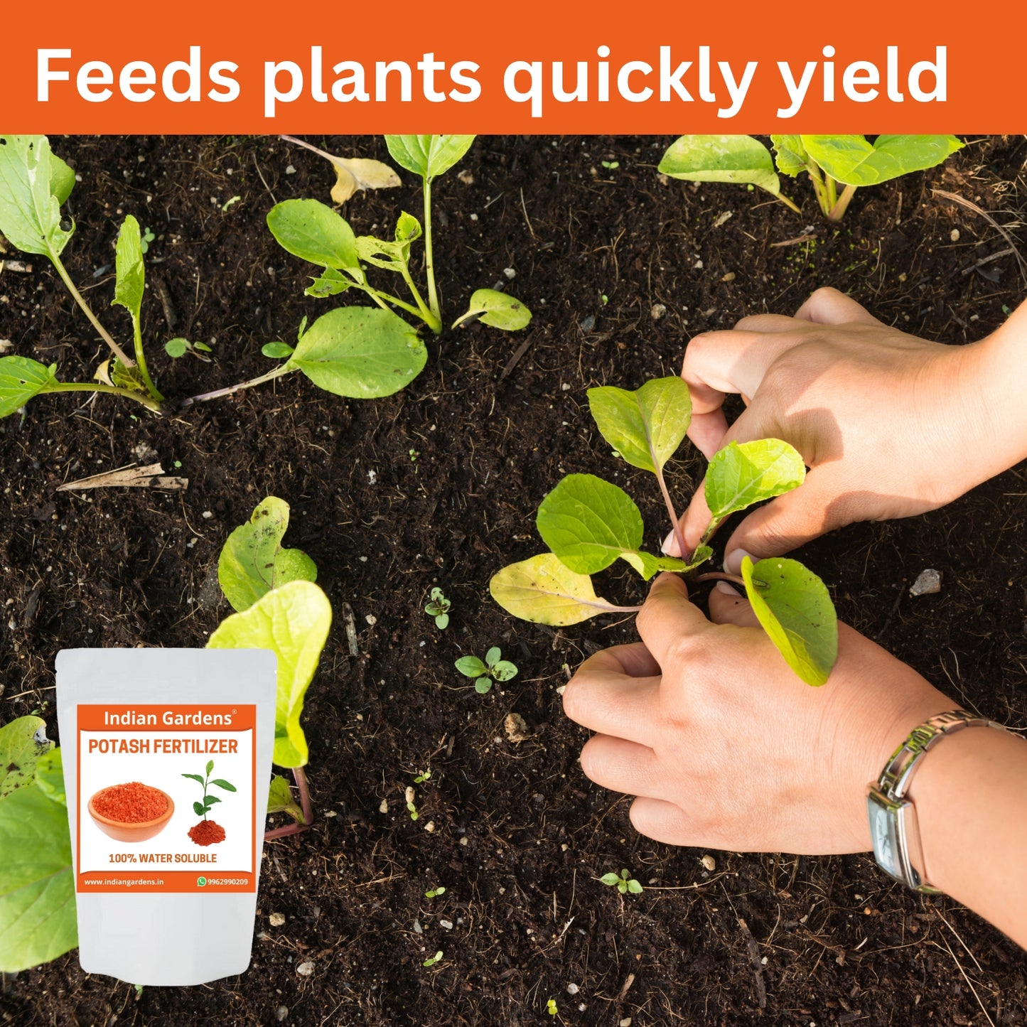 Potash meal fertilizers