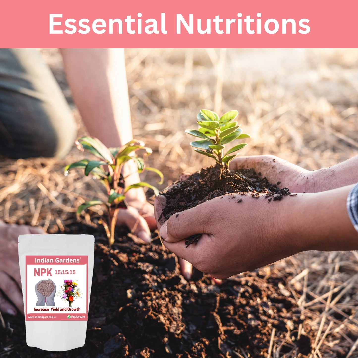 NPK 15:15:15 fertilizer for plants