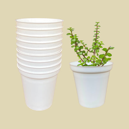 Indoor Plastic Glass White Colour Pots for Home Garden (Set of 10)