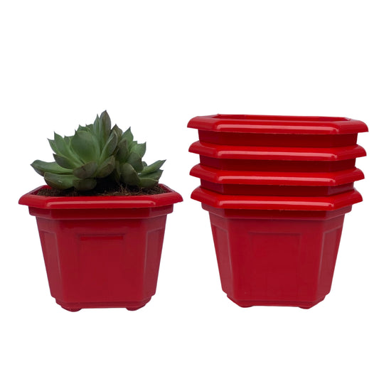 Indoor Plastic Small |Octa 4 Pots | Colour Pot