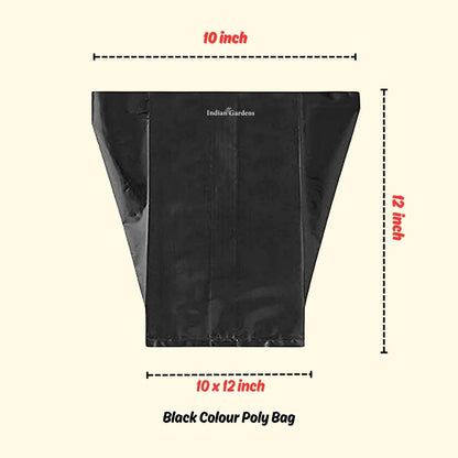 10 x 12 Inch Black Colour Poly Bag | for Home Gardens Perfect for Plantation | Nursery for Vegetable and Flowering Plants