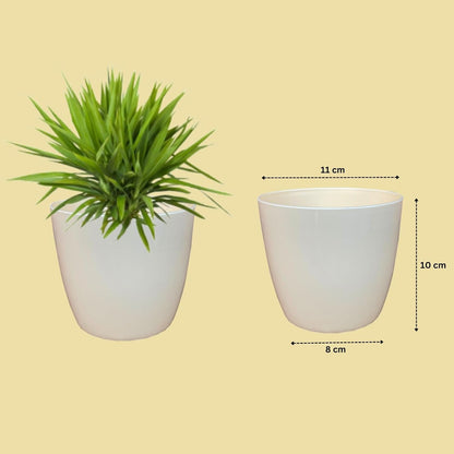 Premium Quality Indoor plastic Colour Pots (Small) | Titan 5 | Home & Office Decor | Table Pot (colour White)