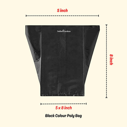 5 x 8 Inch Black Colour Poly Bag | for Home Gardens Perfect for Plantation | Nursery for Vegetable and Flowering Plants
