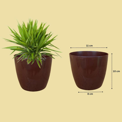 Premium Quality Indoor plastic Colour Pots (Small) | Titan 5 | Home & Office Decor | Table Pot (colour Brown)