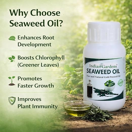 Seaweed Extract Liquid Concentrate