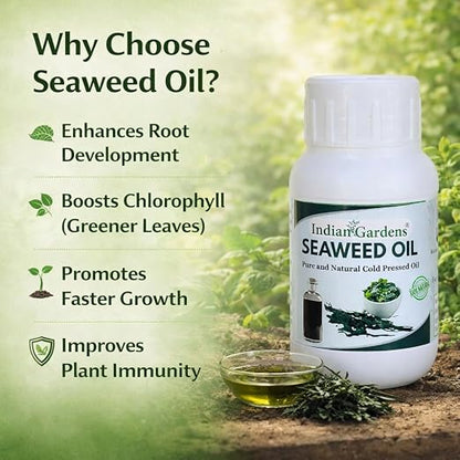 Seaweed Extract Liquid Concentrate