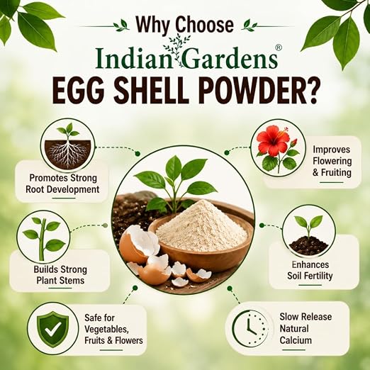 Egg Shell Powder for Plants