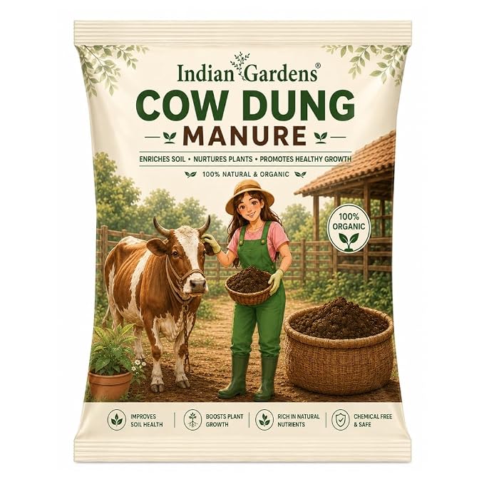 Cow Dung Manure