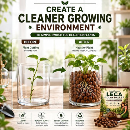 LECA Clay Balls
