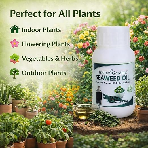 Seaweed Extract Liquid Concentrate
