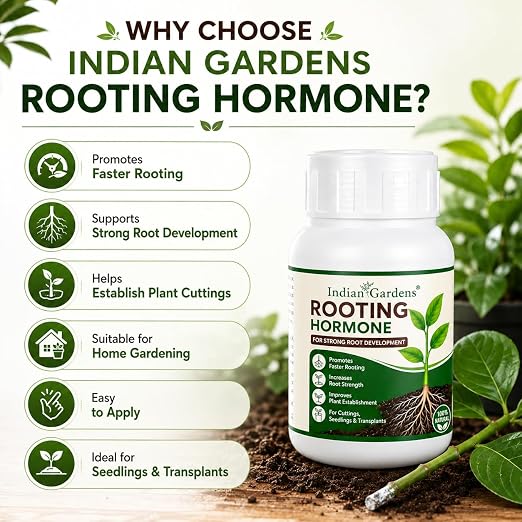 Rooting Hormone Powder