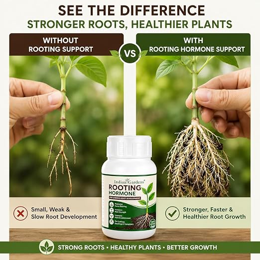 Rooting Hormone Powder