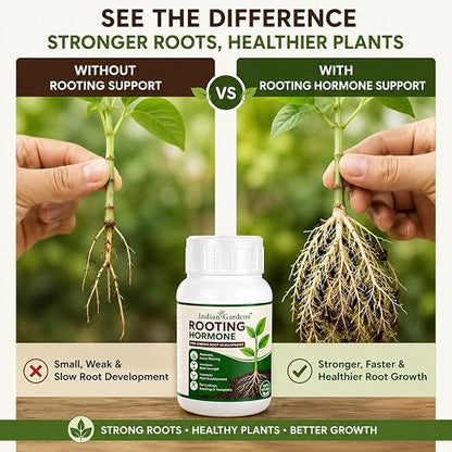 Rooting Hormone Powder