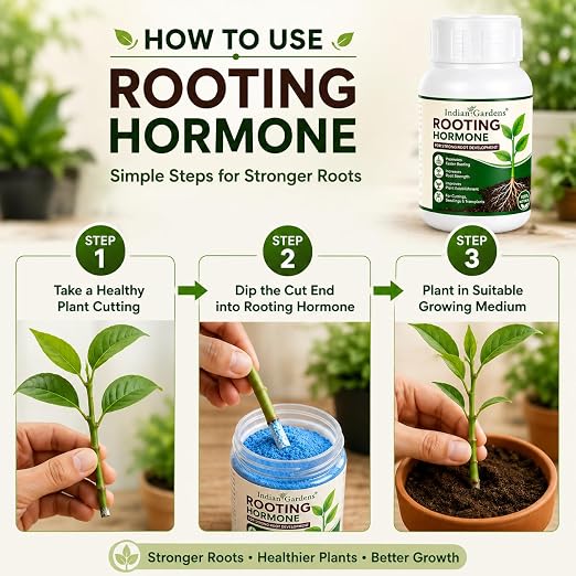 Rooting Hormone Powder