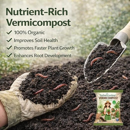 Vermicompost Manure