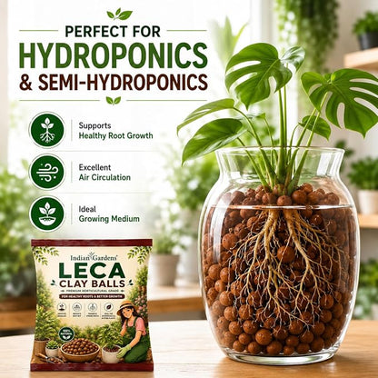 LECA Clay Balls