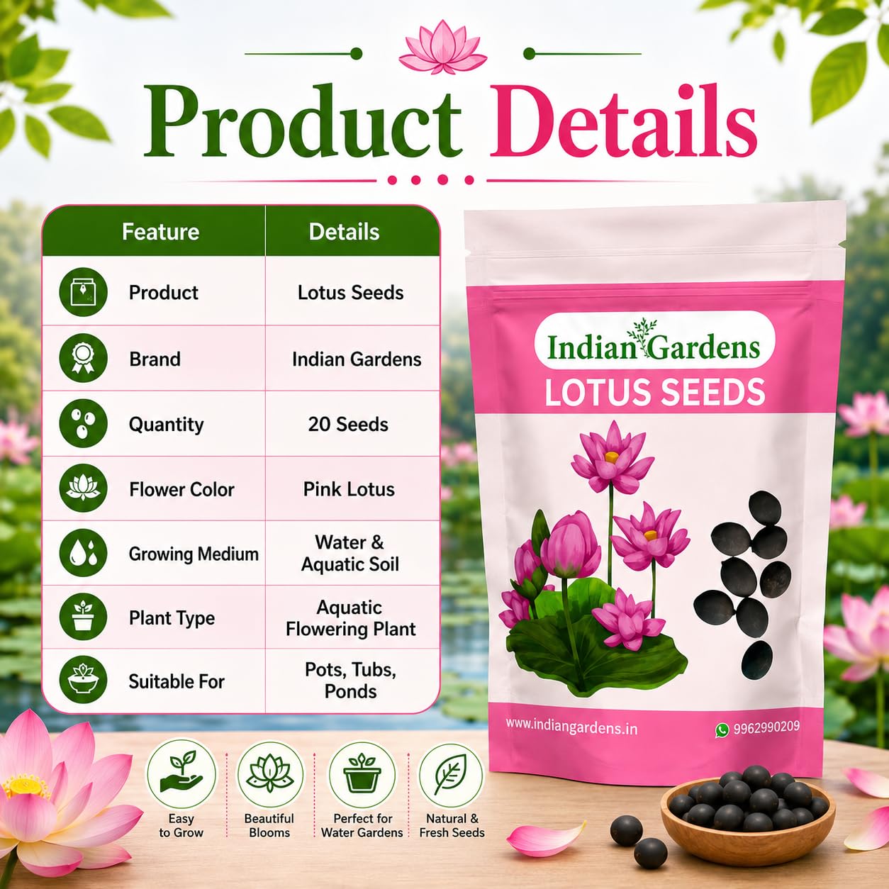 Lotus Seed for Planting ( Pack of 20 ) Lotus Flower Seeds for Home Decor.