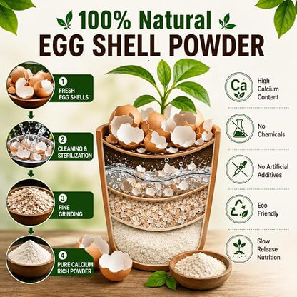 Egg Shell Powder for Plants