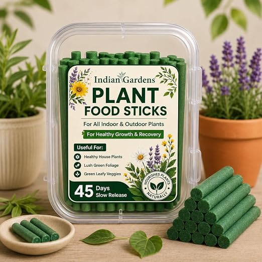 Plant Food Sticks (Pack of 40)