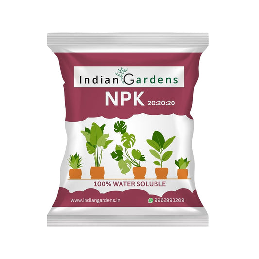 Npk 20:20:20 Fertilizer Powder For All Garden Plants | Water Soluable | Plant Growth Booster | Plant Food