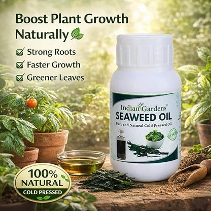 Seaweed Extract Liquid Concentrate