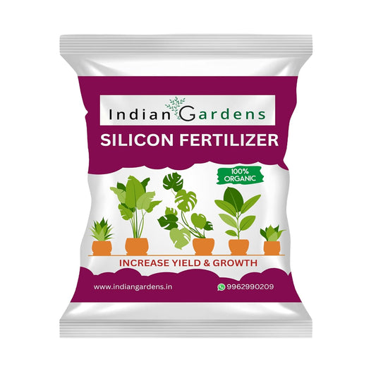 Silicon Fertilizer for Plants | Plant Nutrient and Plant Food | Gardening