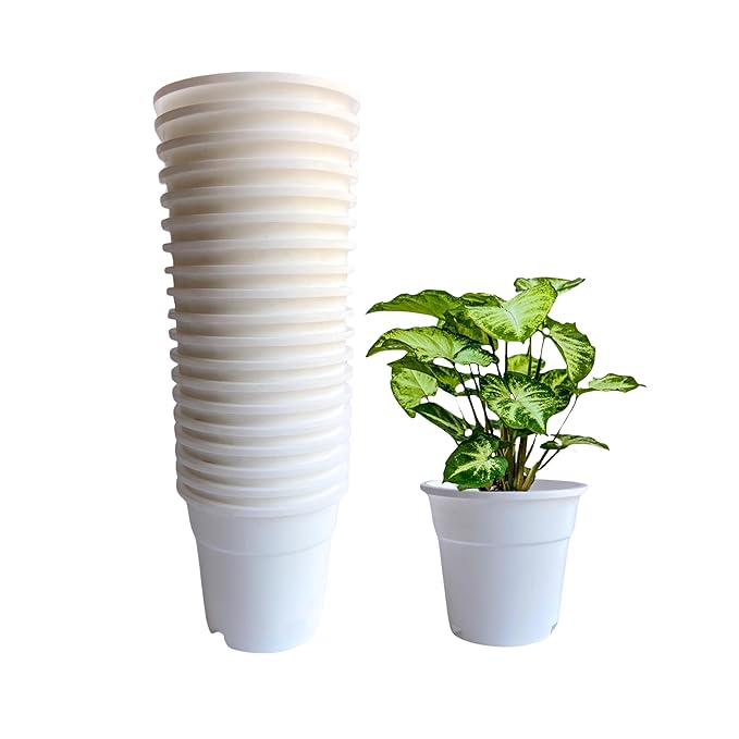 4 inch Indoor plastic Small Colour pots | Plastic Plant Pot for Terrace Garden (set of 20)