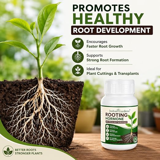 Rooting Hormone Powder