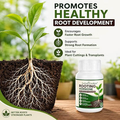 Rooting Hormone Powder