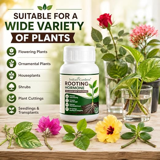 Rooting Hormone Powder