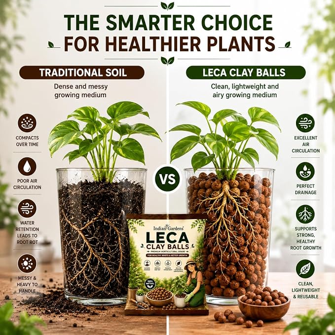 LECA Clay Balls