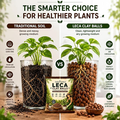 LECA Clay Balls