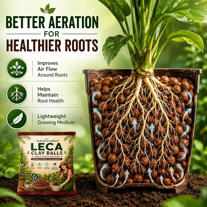 LECA Clay Balls