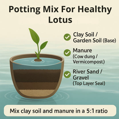 Yellow Peony Lotus ( code 11 )