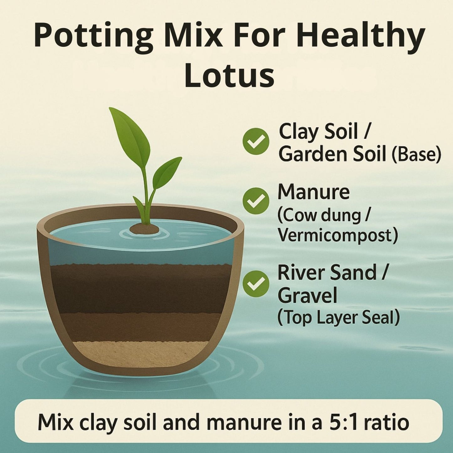 Bowl Lotus Affection 16