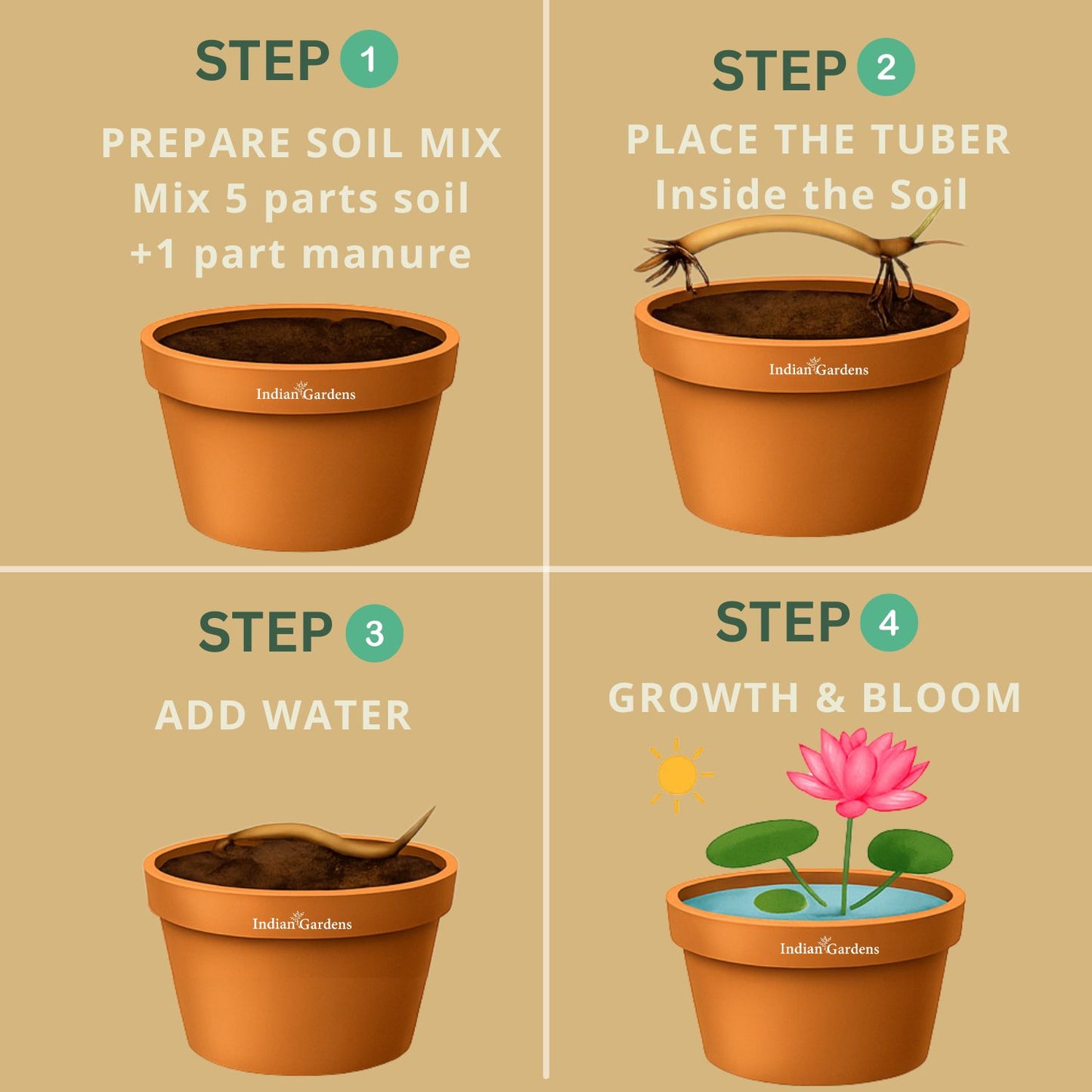 Pink Cloud Lotus ( code 41 )