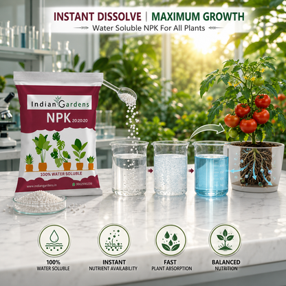 Npk 20:20:20 Fertilizer Powder For All Garden Plants | Water Soluable | Plant Growth Booster | Plant Food