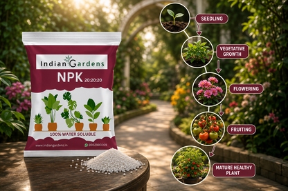 Npk 20:20:20 Fertilizer Powder For All Garden Plants | Water Soluable | Plant Growth Booster | Plant Food
