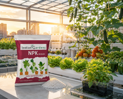 Npk 20:20:20 Fertilizer Powder For All Garden Plants | Water Soluable | Plant Growth Booster | Plant Food