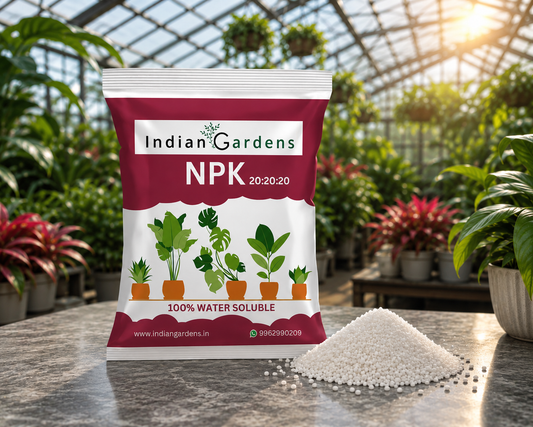 Npk 20:20:20 Fertilizer Powder For All Garden Plants | Water Soluable | Plant Growth Booster | Plant Food