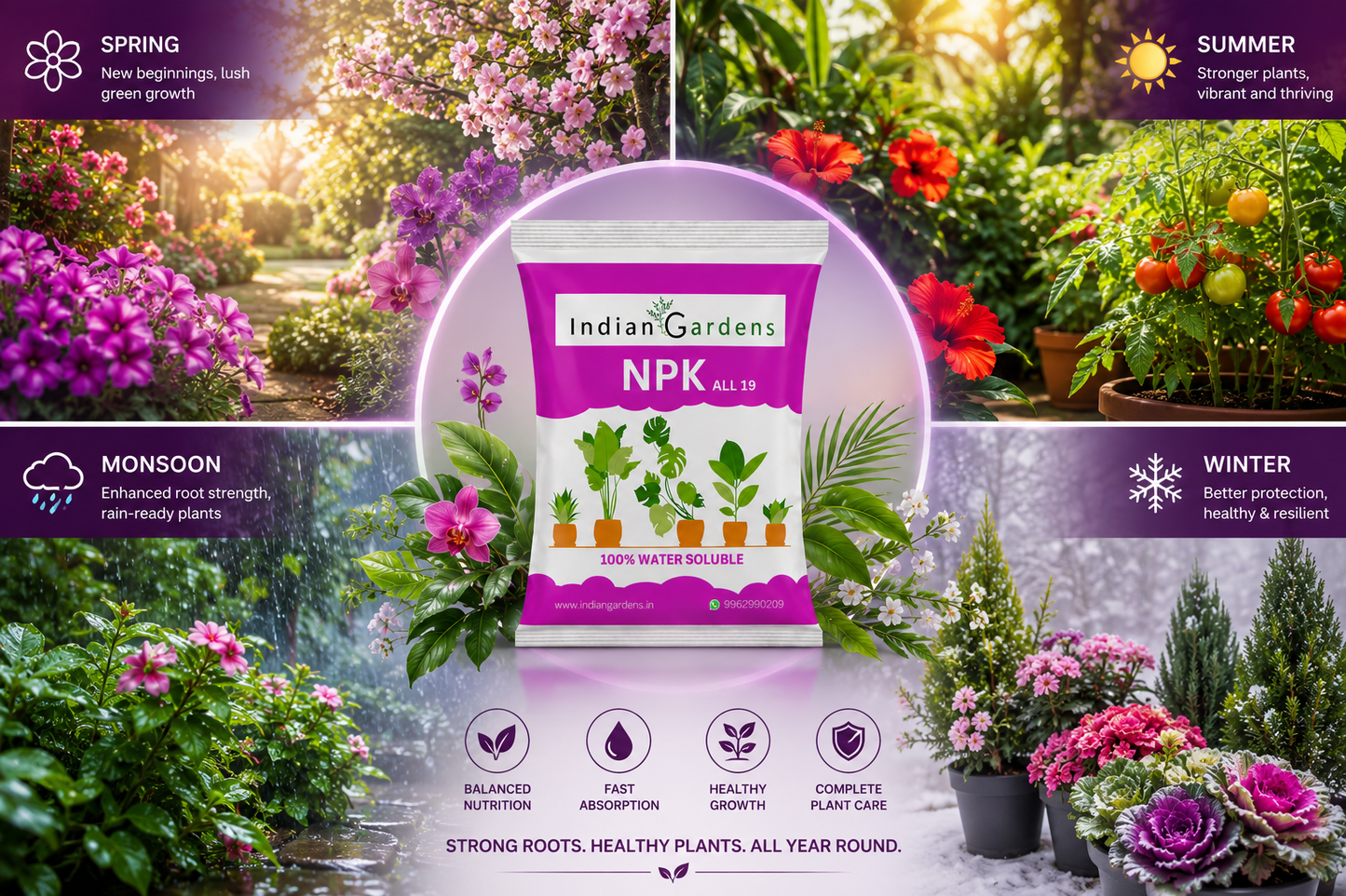 Npk 19 Fertilizer Powder For Plants