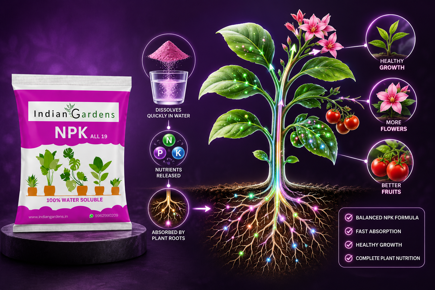 Npk 19 Fertilizer Powder For Plants