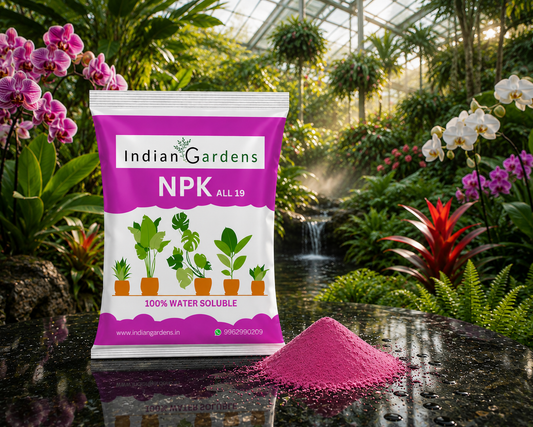 Npk 19 Fertilizer Powder For Plants
