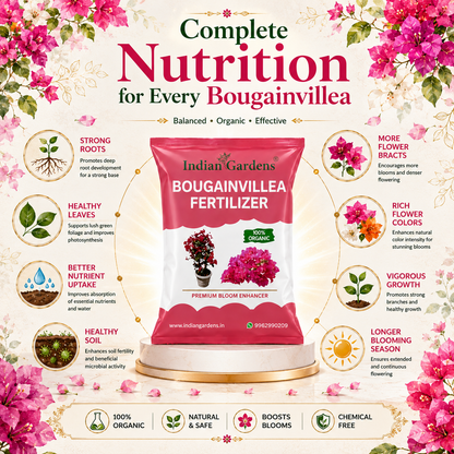 Bougainvillea Fertilizer | Flowering Plant Fertilizer | Slow-Release Plant Food | Organic Fertilizer