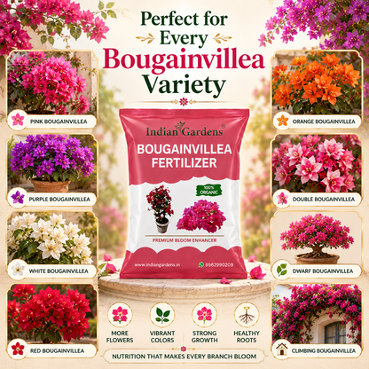Bougainvillea Fertilizer | Flowering Plant Fertilizer | Slow-Release Plant Food | Organic Fertilizer