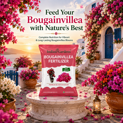 Bougainvillea Fertilizer | Flowering Plant Fertilizer | Slow-Release Plant Food | Organic Fertilizer