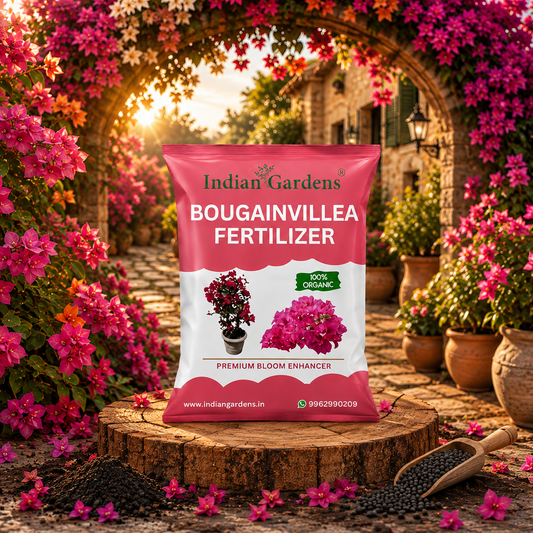 Bougainvillea Fertilizer | Flowering Plant Fertilizer | Slow-Release Plant Food | Organic Fertilizer