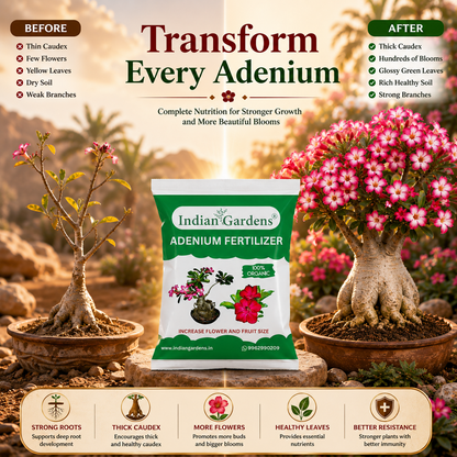 Adenium fertilizer