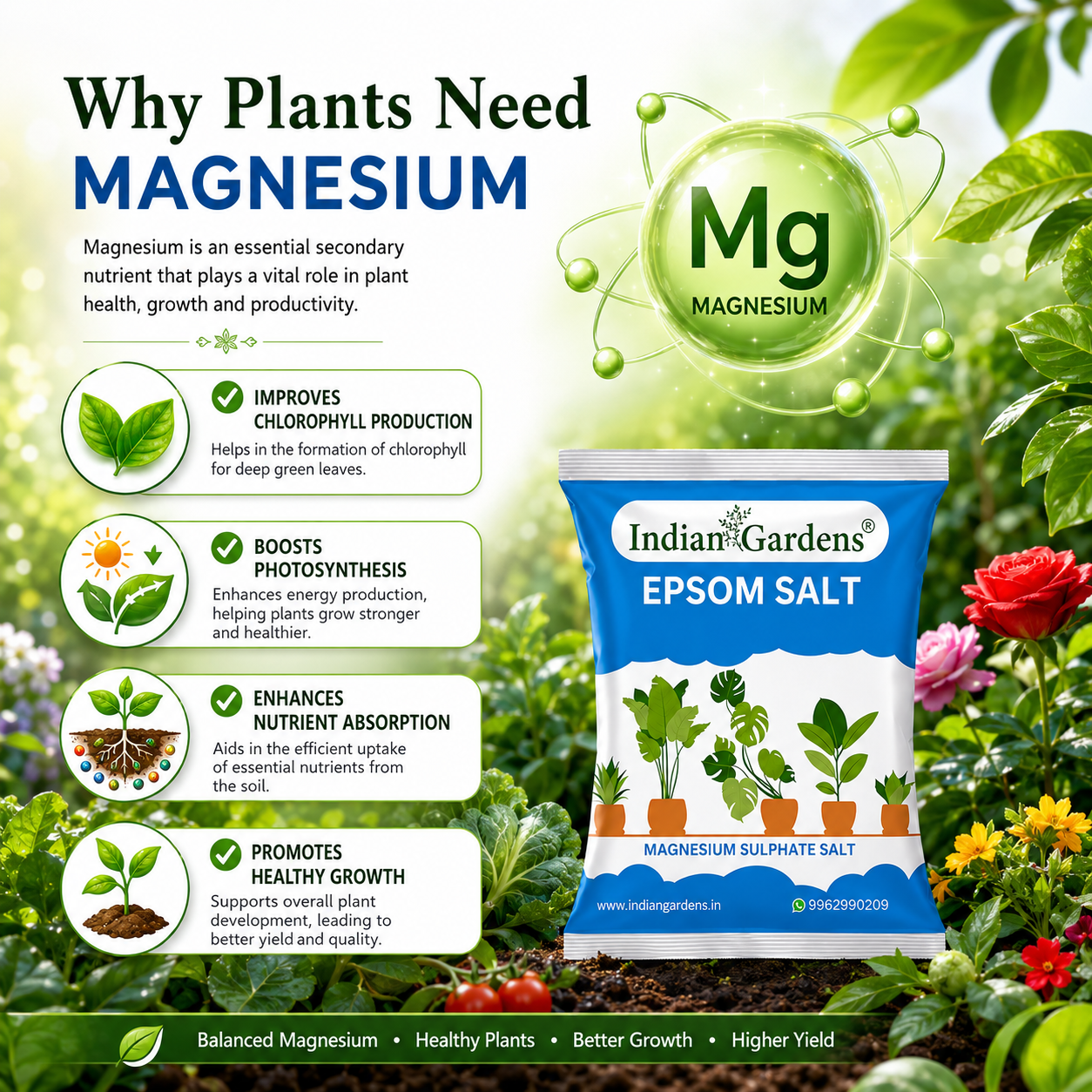 Epsom Crystals Salt Fertilizer For Plants